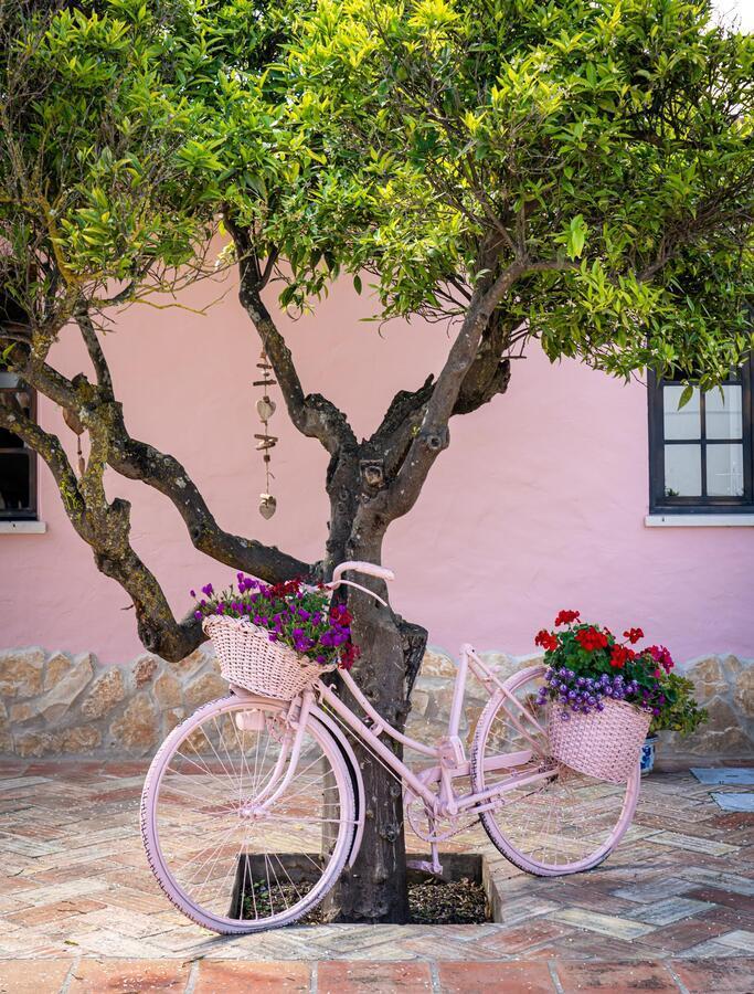 Quinta Aida Cottage And B&B Suites ラゴア エクステリア 写真