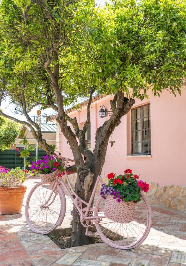 Quinta Aida Cottage And B&B Suites ラゴア エクステリア 写真