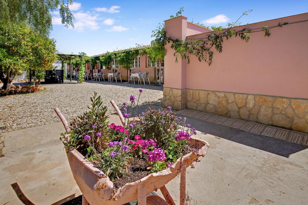 Quinta Aida Cottage And B&B Suites ラゴア エクステリア 写真